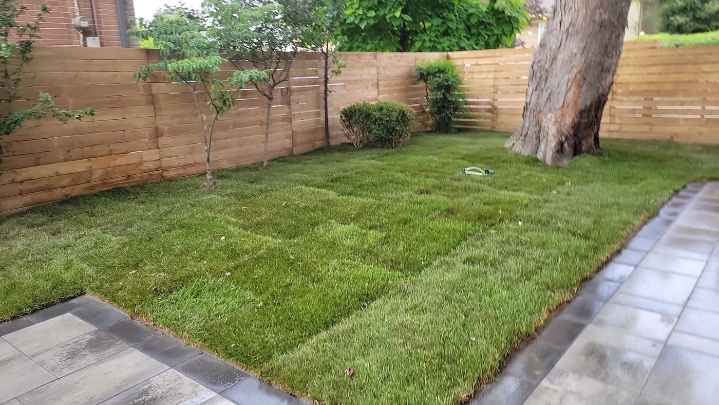 New sod meeting a paver patio beside a horizontal cedar fence