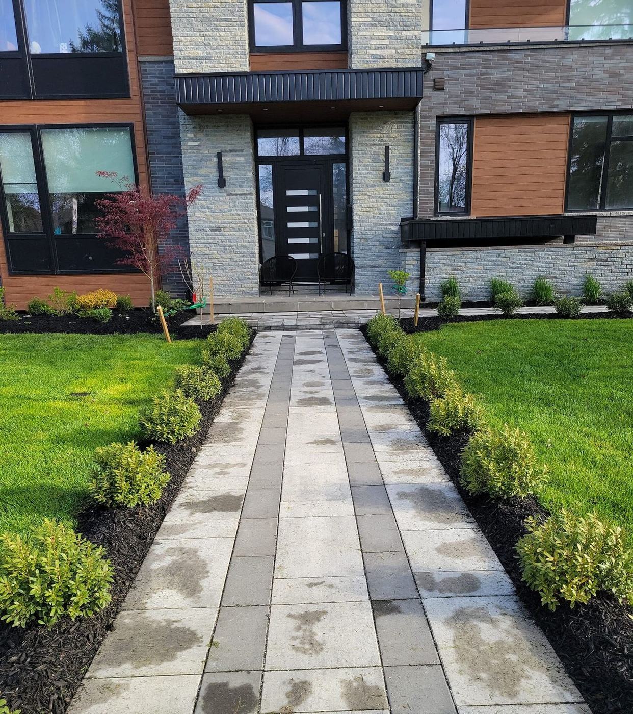 Large-format paver walkway lined with boxwood leading to a modern front door