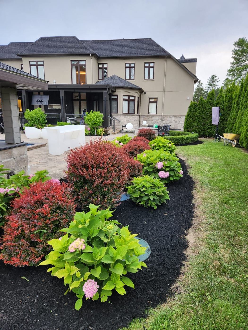 Curved planting bed with hydrangeas and barberry in fresh mulch