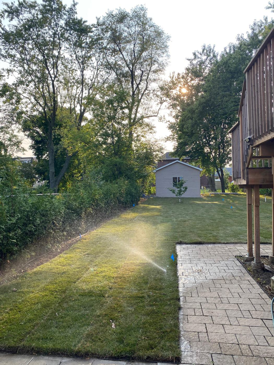 Sprinkler watering a newly sodded backyard beside a paver walkway